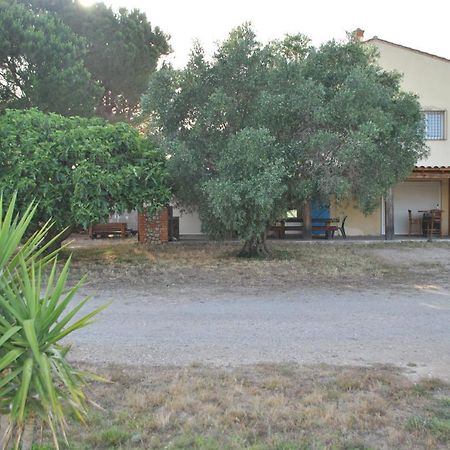 Mas De La Vignassa Villa Le Soler Exterior foto