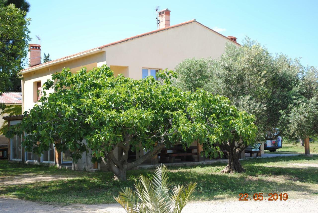 Mas De La Vignassa Villa Le Soler Exterior foto